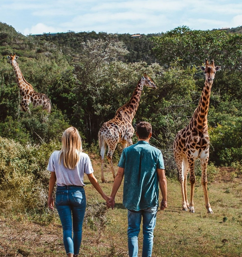 10 Days Tanzania Adventure & Zanzibar Honeymoon Private Safari.