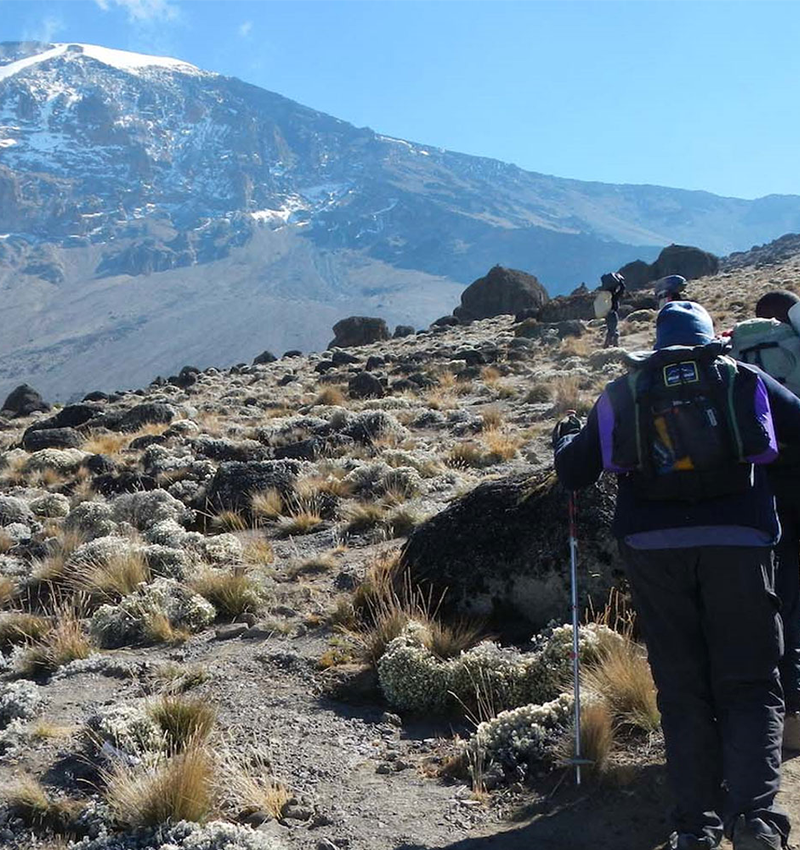 7-days-kilimanjaro-shira-route