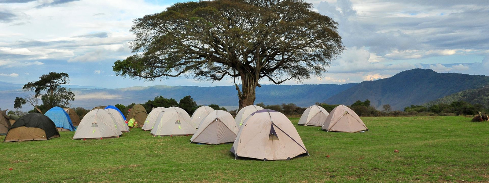 Budget camping Safari in Tanzania