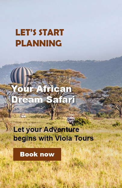 Planning your african Safari