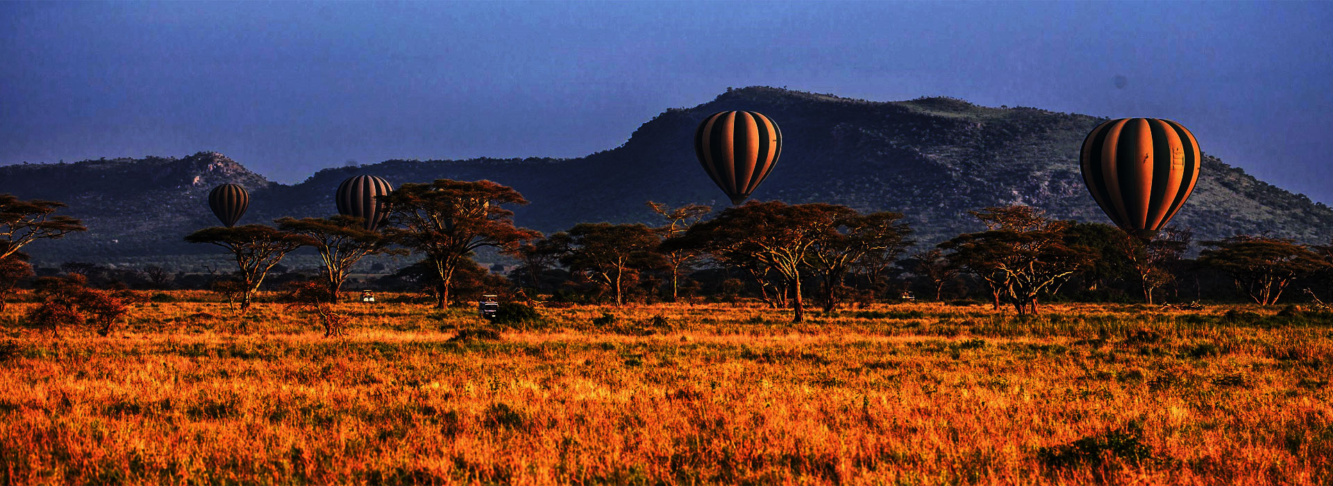 Read more about the article Best Time to Visit Tanzania