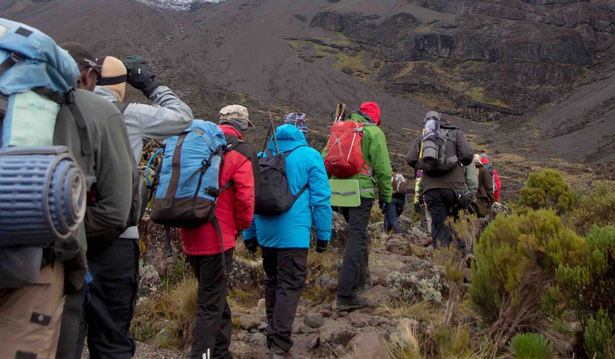 Kilimanjaro Porters