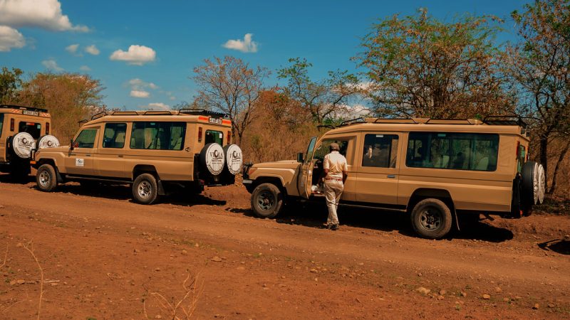viola-safari-vehicle-lease