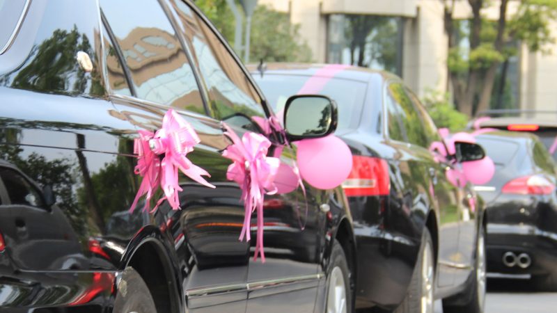 viola-wedding-ceremonies-and-honeymoon-sevices